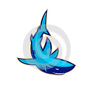 Template of the logo with shark. Sport team mascot. Sport club o