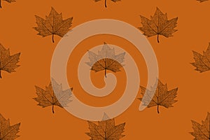 Template with maple leaf on Halloween