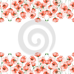 Template postcard with poppies on a white background