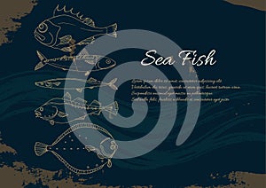 Template with set of sea fish. Perch, cod, mackerel, flounder, saira. Vector doodle.