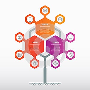 Template of tree, info chart or graphics. Diagram of technology or education process with three steps. Business presentation or