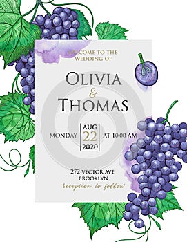 Template of wedding invitation card in vintage engraving style. Sketch design with purple grapes.