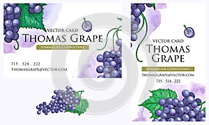 Templates of Business cards set, botanical identity style. Decorative frame with grape bunches and leaves.