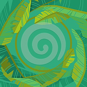 Templates for invitations, cards with fronds