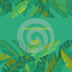 Templates for invitations, cards with fronds