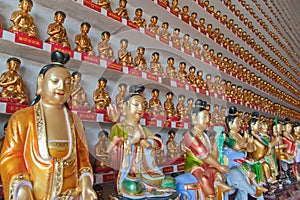 In the temple of the 10 000 buddhas
