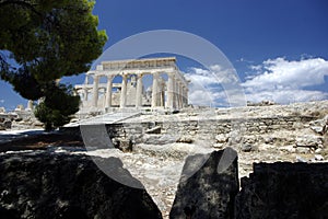 Temple of Afaia, Greece photo