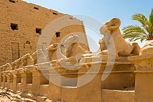 Temple of Amun-Re and the Goats headed sphinxes - Criosphinxes, Karnak, Egypt