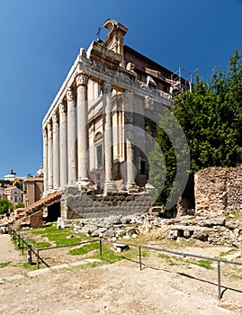 Temple of Antoninus and Faustina in the Roman Forum