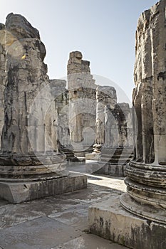 Temple of Apollo in antique city of Didyma photo