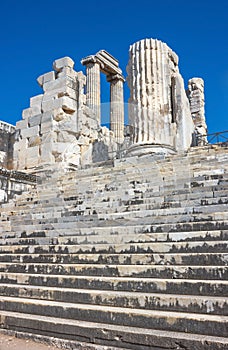 Temple of Apollo in Didim 1