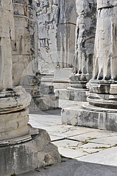 Temple of Apollo at Didyma, Turkey