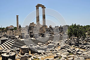 Temple of Apollon photo