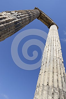 Temple of Apollon - Didyma / Turkey