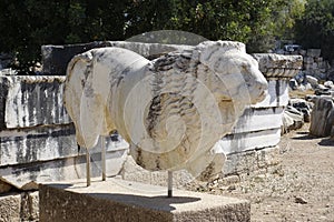 Temple of Apollon - Didyma / Turkey