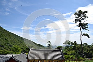 The temple around Beomeosa. Pic was taken in August 2017. Transl