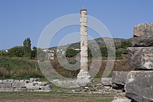 Temple of Artemis one of the seven wonder of the ancient world - Selcuk, Turkey . Storks nest in an old colony in the middle of a