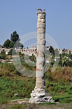 Temple Of Artemis remains, Selcuk, nr Ephesus, Turkey