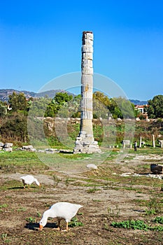 Temple of Artemis Selcuk, Turkey