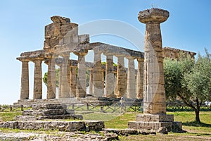 Temple of Athena Minerva in Poseidonia Paestum, Campania, Italy photo