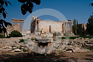 Temple of Bacchus, Baalbeck photo