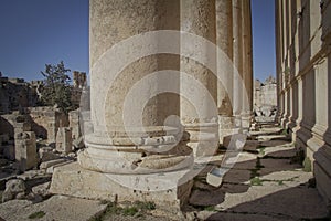 Temple of Bacchus, Baalbek Lebanon