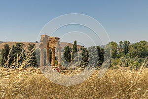 Temple of Castor and Pollux, one of the Greek temples of Italy, Magna Graecia.