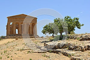 Temple of Concordia Agrigento Sicily Italy photo