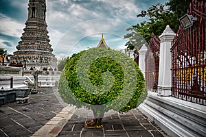 Temple of Dawn  Wat Arun is a buddhist temple and derives its name from the Hindu god Aruna often personified as the radiations of