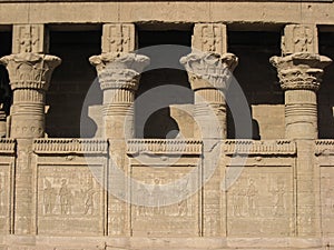 Temple of Dendera. Detail . Egypt photo