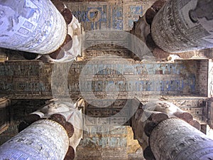 Temple of Dendera. Detail . Egypt photo