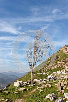 Temple of Dionysus view