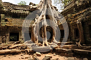 Temple doorway, Ankor Wat, Cambodia