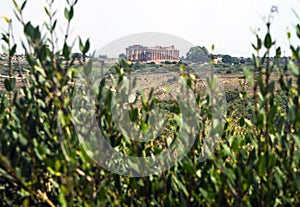 Temple E at Selinunte in Sicily is a greek temple of the doric o