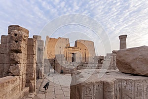 The Temple of Edfu