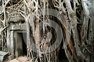 Temple entrance at Angkor Wat