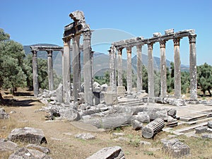 The Temple at Euromos, Turkey