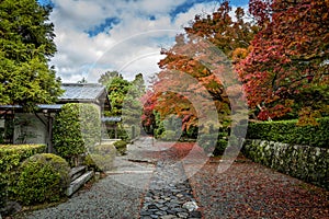 Temple grounds with Koyo in Japan