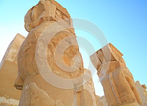 Temple of Hatshepsut photo