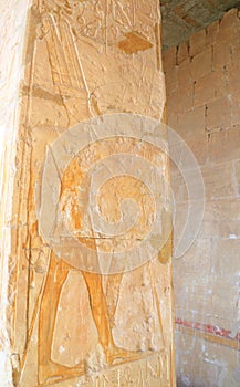 Temple of Hatshepsut photo