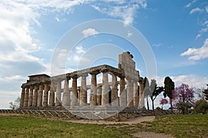 Temple of Hera at famous Paestum Archaeological UNESCO World Her