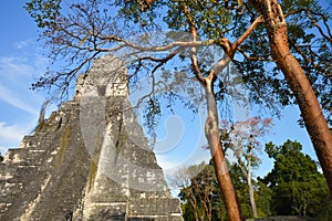 Temple I of the archaeological site of Tikal in El Peten, Guatemala