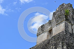 Temple I, Tikal, Guatamala