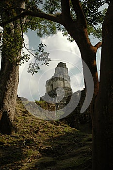 Temple of the Jaguar