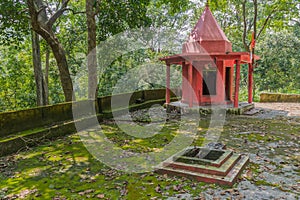 Temple in jungle