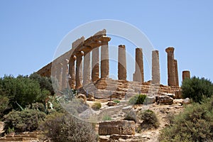 Temple of Juno Lacinia Agrigento 2 photo