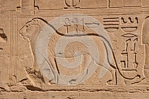 Temple of Karnak, Egypt