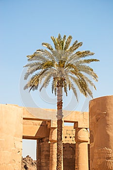 Temple of Karnak, Egypt