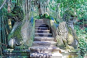 Temple ladder in Monkey forest, Ubud, Bali