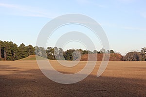 Temple Mound and Mound C in Kolomoki Mounds